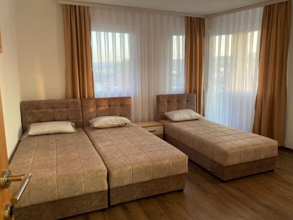 مبيت وإفطار سينيتشا Vila Centar Mb المظهر الخارجي الصورة